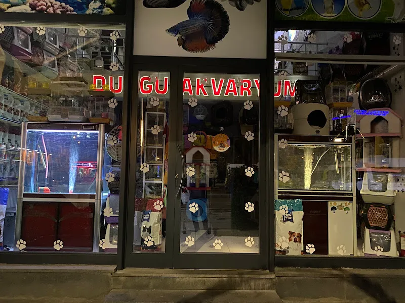Duygu Akvaryum foto 2