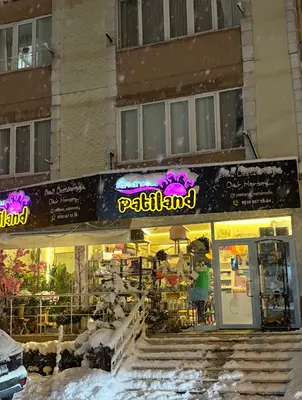 Patiland safranbolu