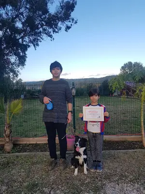 JollyDogs Köpek Eğitim Kulübü