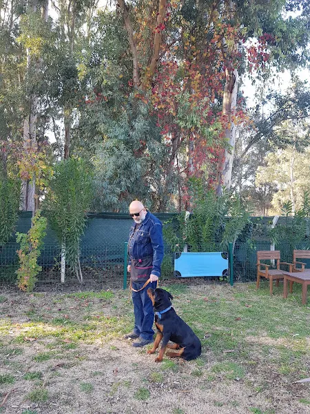 JollyDogs Köpek Eğitim Kulübü foto 2