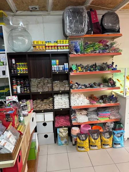 Minik Patiler Petshop foto 1