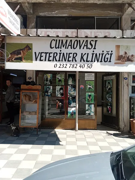 menderes cumaovasi veteriner klinigi foto 1