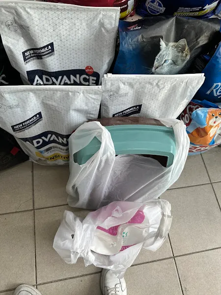 Baykuş Pet Shop foto 2