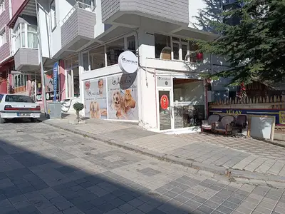 GÜNDÜZLER VETERİNER fotoğrafı