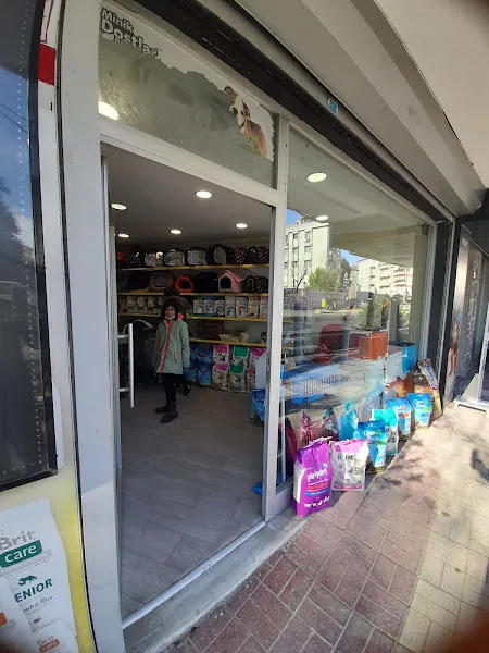 Blue petshop foto 1