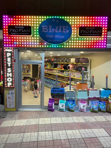 Blue petshop foto 2