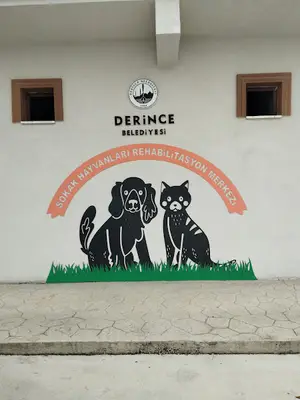 Derince belediyesi sokak hayvanları rehabilitasyon merkezi