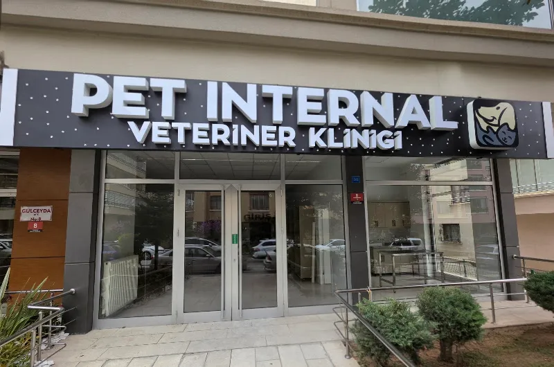 Pet İnternal Veteriner Kliniği foto 1