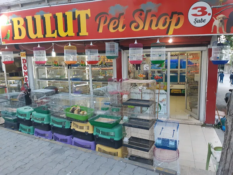 Bulut petshop 3 foto 2