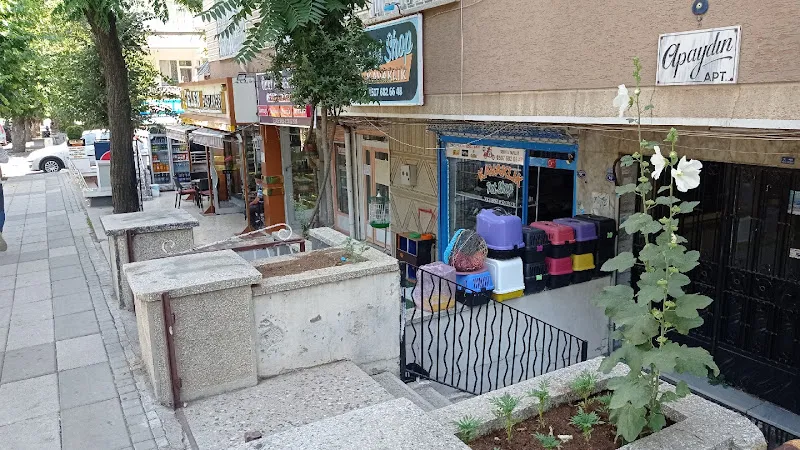Petshop Kavaklık foto 1