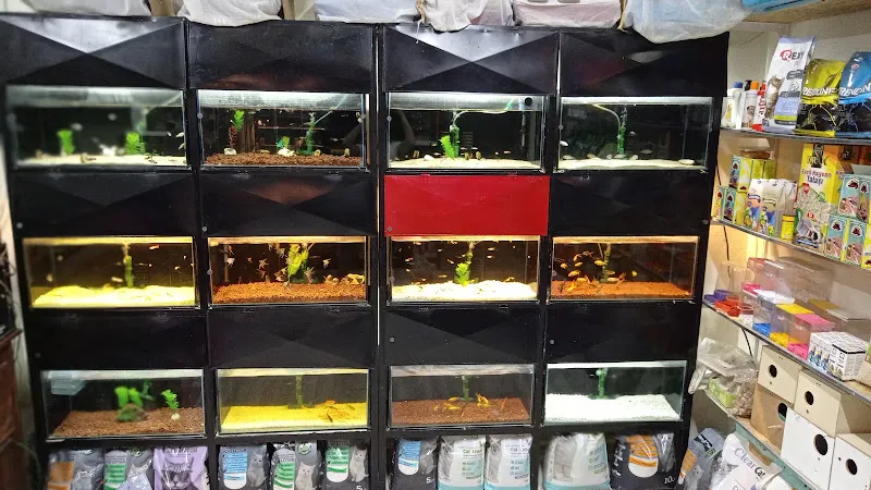 Petshop Kavaklık foto 2