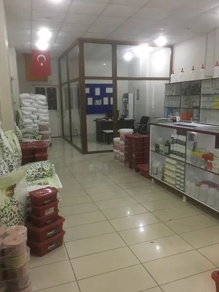 Altundişli Veteriner kliniği foto 2