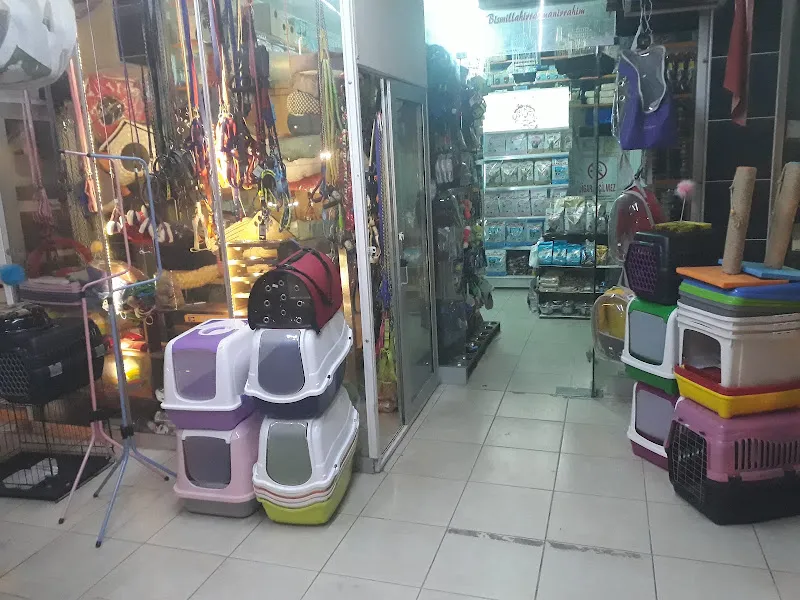 SAFARİ PETSHOP foto 1