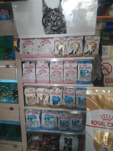 SAFARİ PETSHOP foto 2