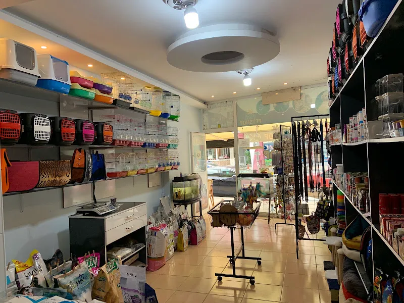 Pati petshop foto 2