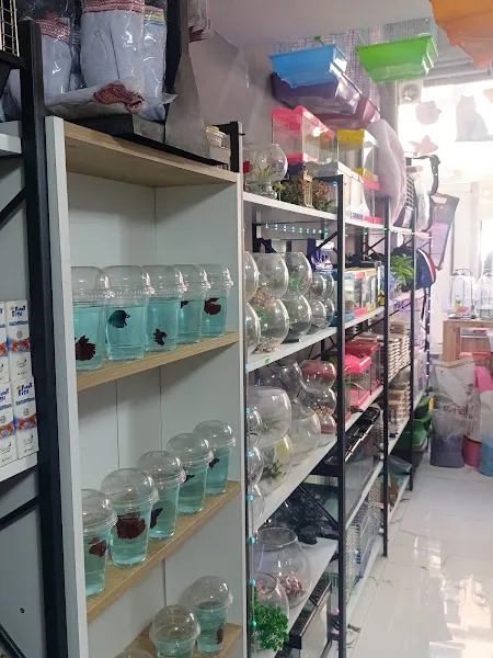 Van Aqua Petshop foto 2