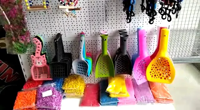 PENDİK PETSHOP foto 2