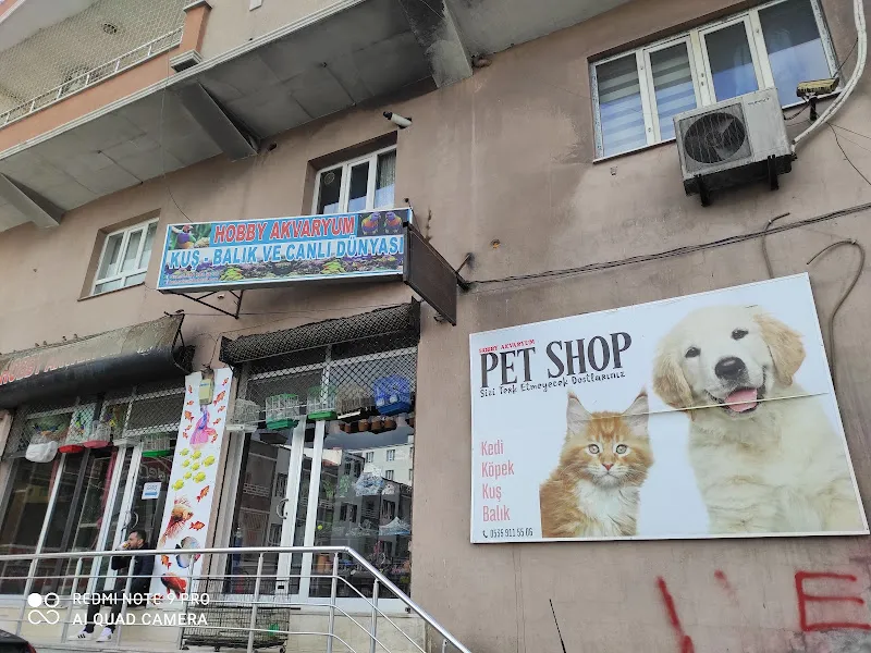 Hobby Akvaryum & Petshop foto 2
