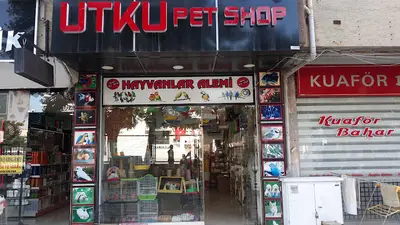 Utku Petshop hayvanlar alemi 19