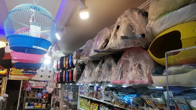 Utku Petshop hayvanlar alemi 19 foto 2