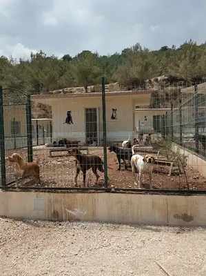Mersin B.B Kedi Köpek Rehabilitasyon Merkezi