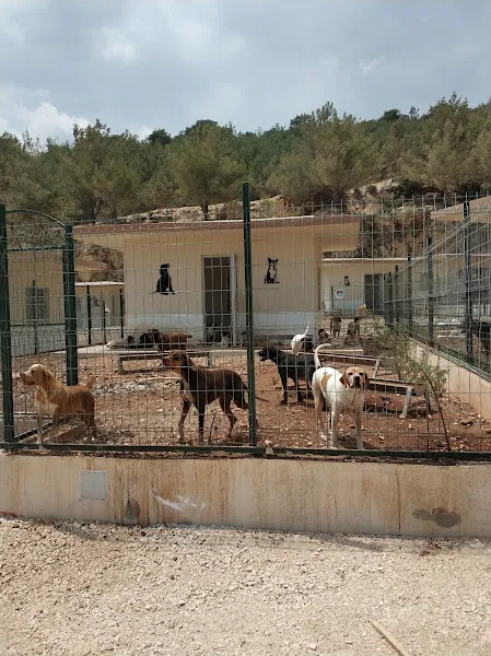 Mersin B.B Kedi Köpek Rehabilitasyon Merkezi foto 1