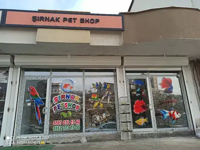 Şırnak petshop
