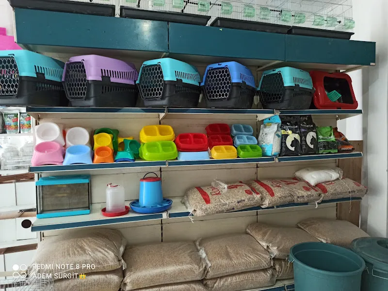 Şırnak petshop foto 2
