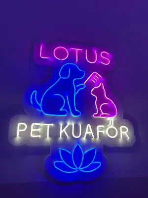 Düzce Lotus Pet Kuaför