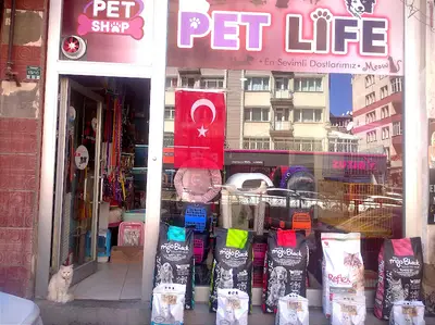 Akçay Pet