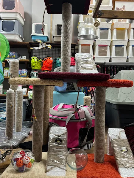 Petshop Sivas Çipet 2 foto 2
