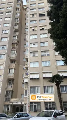 Pet Taksiniz fotoğrafı