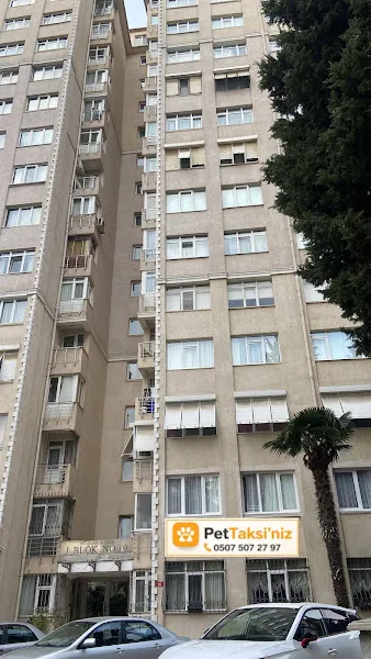 Pet Taksiniz foto 1
