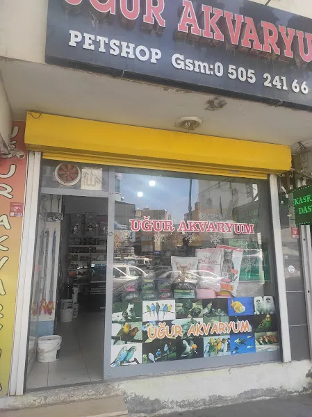 UĞUR AKVARYUM foto 1