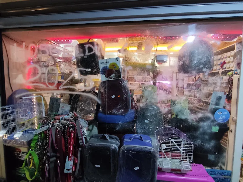 Velice Akvaryum & Pet Shop foto 2