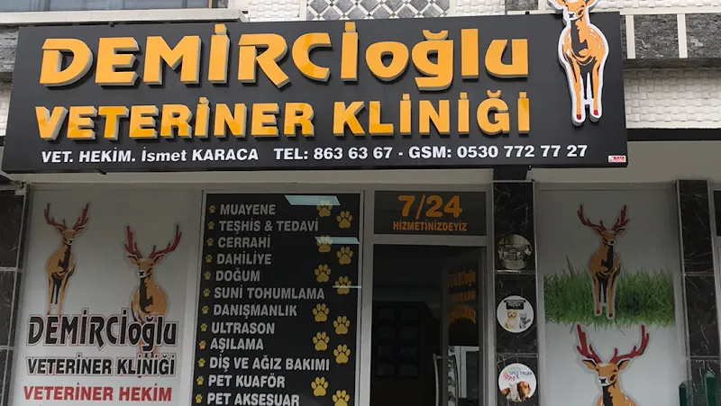 Elmadağ Veteriner Kliniği foto 2