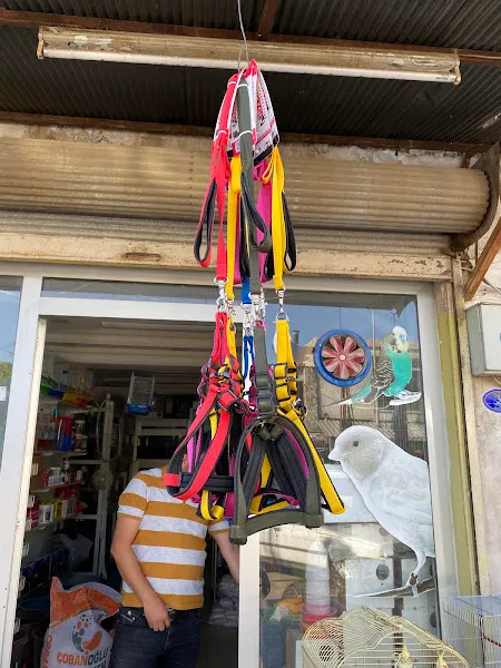 ATLAS AKVARYUM KUŞ DİYARI foto 1