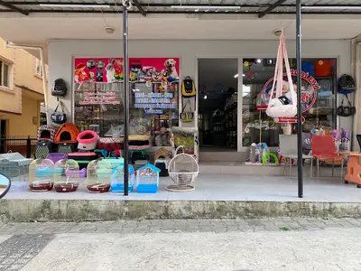 Hobi evi pet market