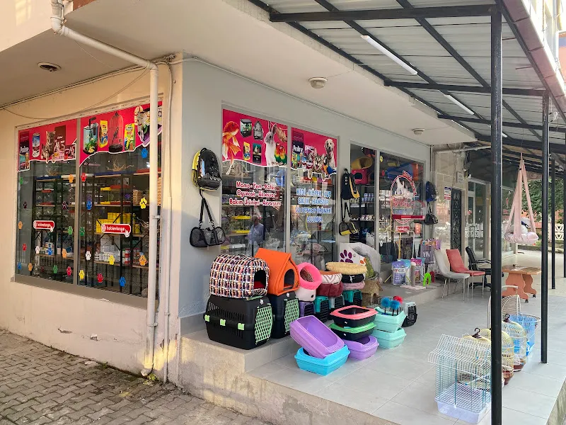 Hobi evi pet market foto 2