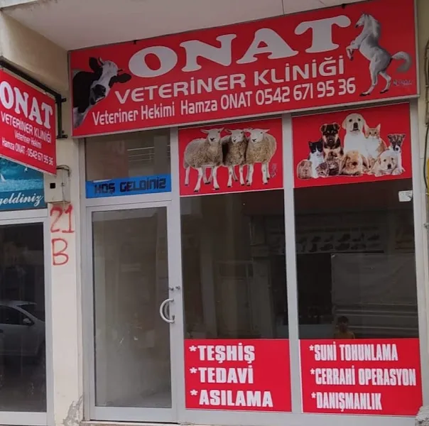 ONAT VETERİNER KLİNİĞİ foto 1