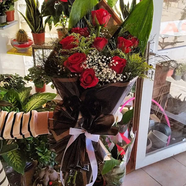 Doğa Petshop Bozova foto 2