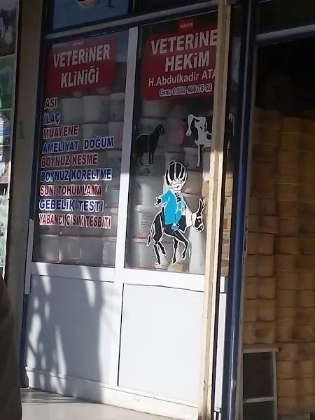 Güven Veteriner Kliniği foto 2