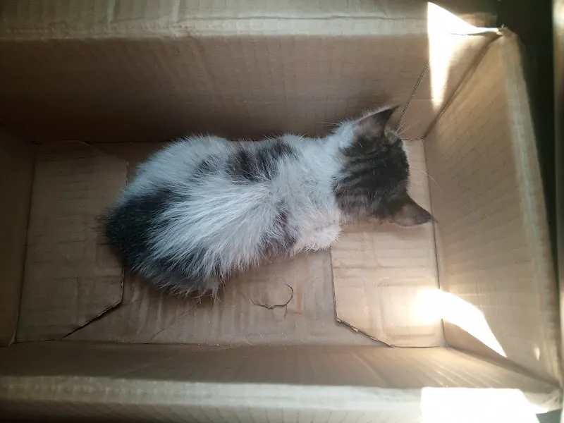 Çamardı Yaşam Veteriner Kliniğı foto 1