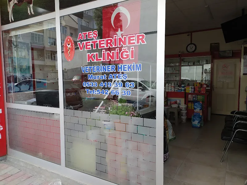 ATEŞ Veteriner Kliniği foto 2