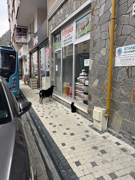 MUSTAFAOĞLU VETERİNER KLİNİĞİ (CENGİZ YILMAZ) foto 1