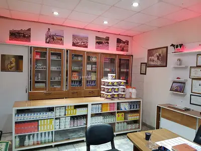 YILMAZ VETERİNER KLİNİĞİ
