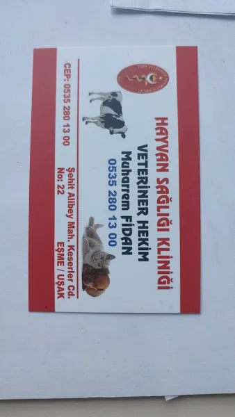 Hayvan Sağlığı Kliniği foto 2