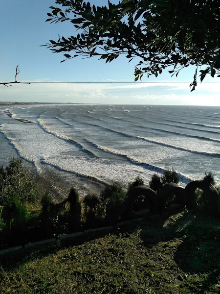 TAVUK ÇİFTLİĞİ foto 1