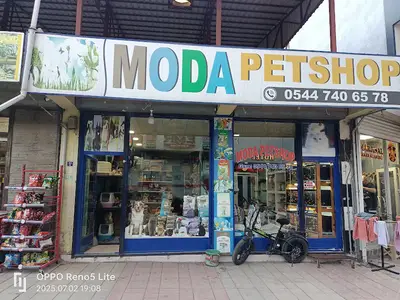 Moda Petshop
