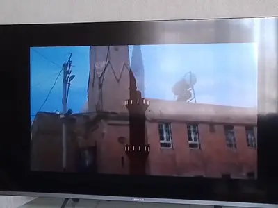 Evcil hayvan bakıcısı